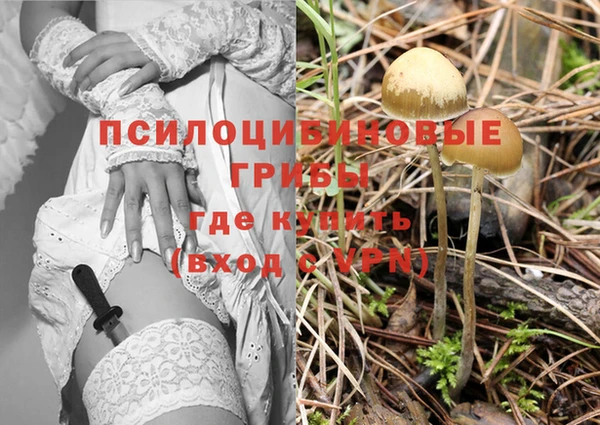 трава Белая Холуница