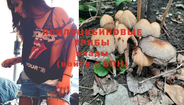 эйфоретик Нея
