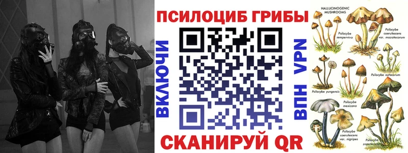 Галлюциногенные грибы ЛСД  купить  сайты  Ряжск 